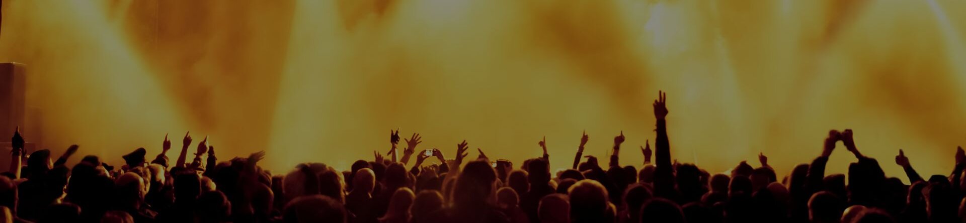 Pubblico immerso in un concerto live con luci dorate e atmosfera intensa durante un evento musicale